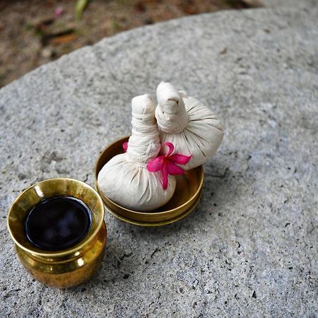 The Royal Heritage Hotel And Ayurvedic Center Thiruvananthapuram Bagian luar foto